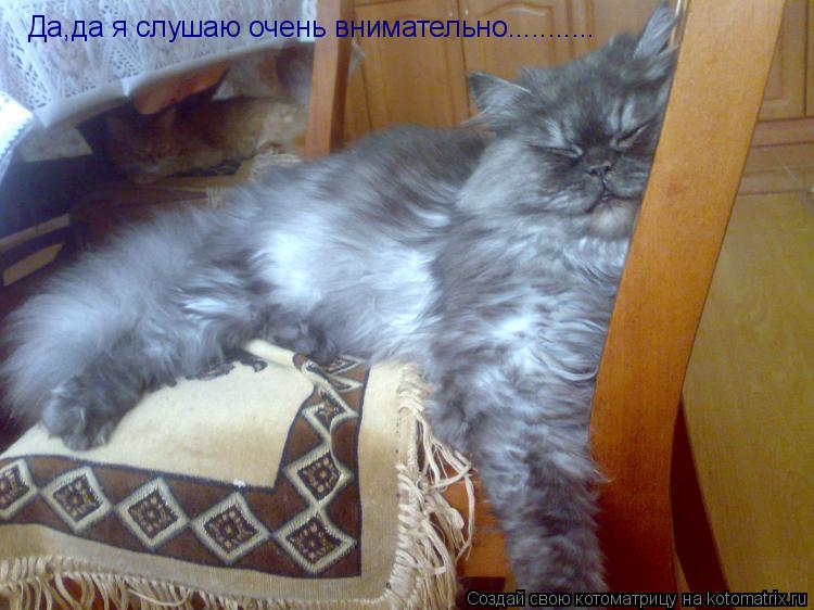 Да,да я слушаю очень внимательно.............. Котоматрица: Да,да я слушаю очень внимательно...........