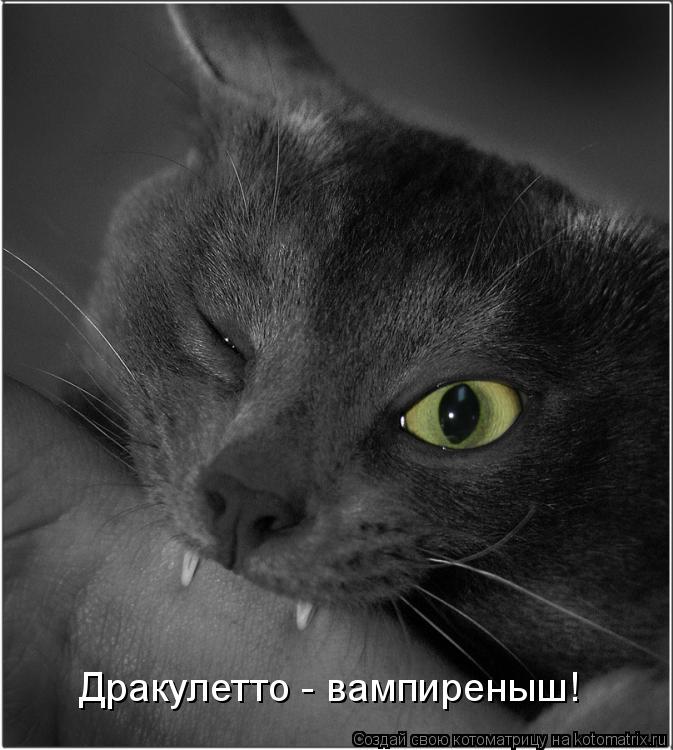 Дракулетто - вампиреныш!... Котоматрица: Дракулетто - вампиреныш!
