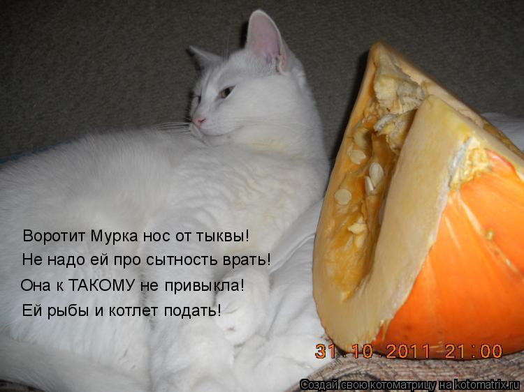 Котоматрица: Воротит Мурка нос от тыквы! Не надо ей про сытность врать! Она к ТАКОМУ не привыкла! Ей рыбы и котлет подать!