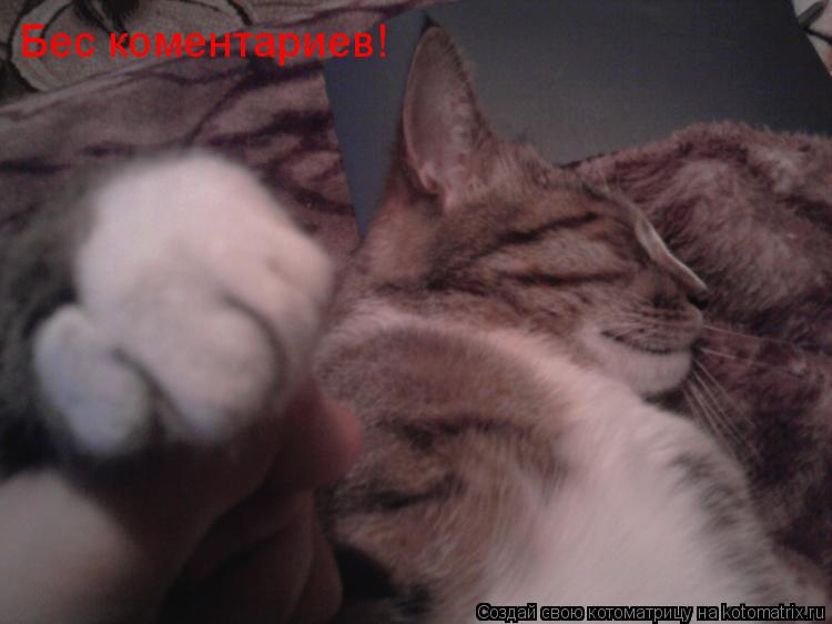 Бес коментариев!... Котоматрица: Бес коментариев!