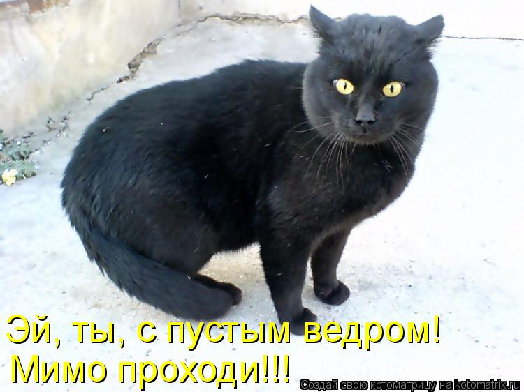 Мимо проходи!!! Эй, ты, с пустым ведром!... Котоматрица: Мимо проходи!!! Эй, ты, с пустым ведром!