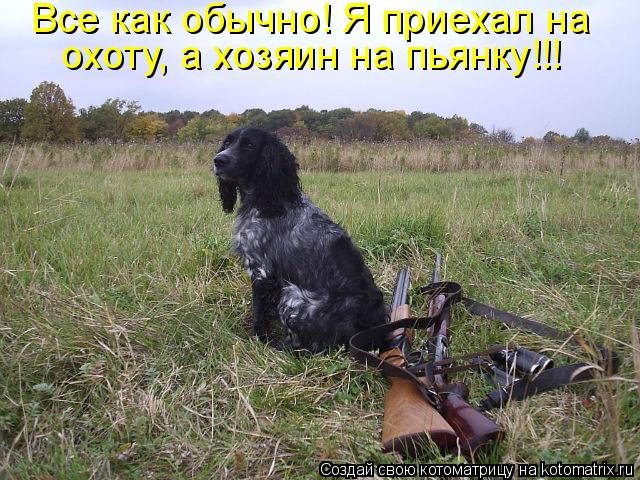 Все как обычно! Я приехал на охоту, а хозяин на пьянку!!!... Котоматрица: Все как обычно! Я приехал на охоту, а хозяин на пьянку!!!