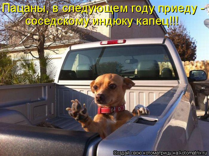 Пацаны, в следующем году приеду - соседскому индюку капец!!!... Котоматрица: Пацаны, в следующем году приеду - соседскому индюку капец!!!