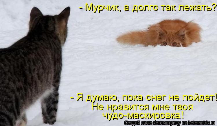 - Мурчик, а долго так лежать? чудо-маскировка! - Я думаю, пока снег не пойдет! Не нравится мне твоя... Котоматрица: - Мурчик, а долго так лежать? чудо-маскировка! - Я думаю, пока снег не пойдет! Не нравится мне твоя