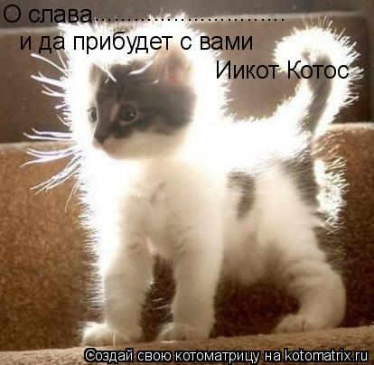 О слава ............................. и да прибудет с вами Иикот Котос... Котоматрица: О слава ............................. и да прибудет с вами Иикот Котос