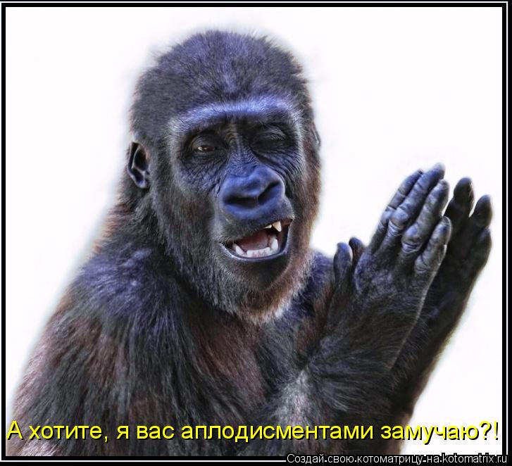 А хотите, я вас аплодисментами замучаю?!... Котоматрица: А хотите, я вас аплодисментами замучаю?!
