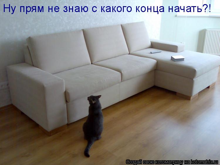 Ну прям не знаю с какого конца начать?!... Котоматрица: Ну прям не знаю с какого конца начать?!