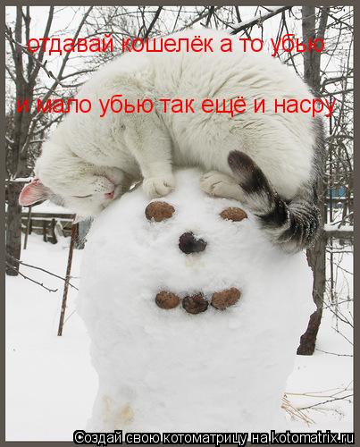 Котоматрица: отдавай кошелёк а то убью и мало убью так ещё и насру