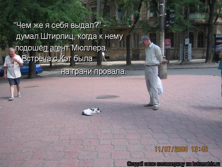 Котоматрица: "Чем же я себя выдал?" - думал Штирлиц, когда к нему  подошёл агент Мюллера. Встреча с Кэт была  на грани провала.