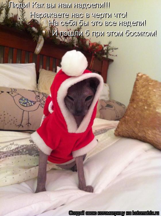 Котоматрица: Люди! Как вы нам надоели!!! Наряжаете нас в черти что! На себя бы это все надели! И пошли б при этом босиком!