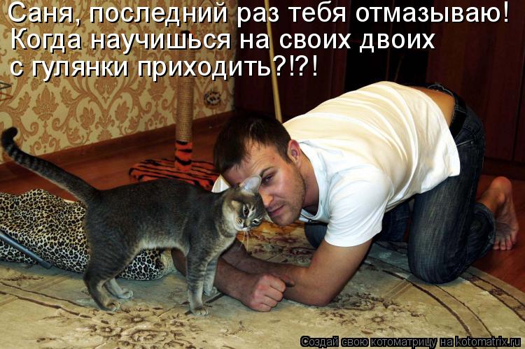Котоматрица: Саня, последний раз тебя отмазываю! Когда научишься на своих двоих  с гулянки приходить?!?!