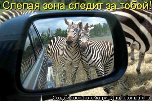 Котоматрица: Слепая зона следит за тобой!