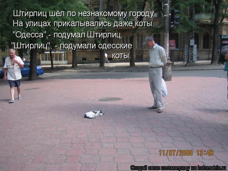 Котоматрица: Штирлиц шёл по незнакомому городу. На улицах прикалывались даже коты. "Одесса",- подумал Штирлиц. "Штирлиц", - подумали одесские  коты.