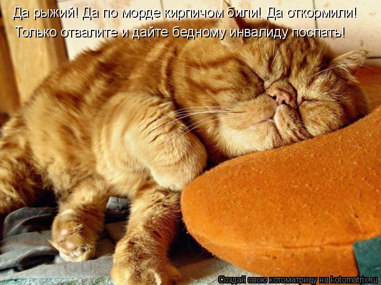 Котоматрица: Да рыжий! Да по морде кирпичом били! Да откормили!  Только отвалите и дайте бедному инвалиду поспать!