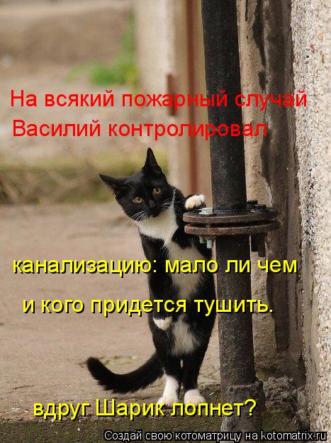 Котоматрица: На всякий пожарный случай Василий контролировал  канализацию: мало ли чем и кого придется тушить. вдруг Шарик лопнет?