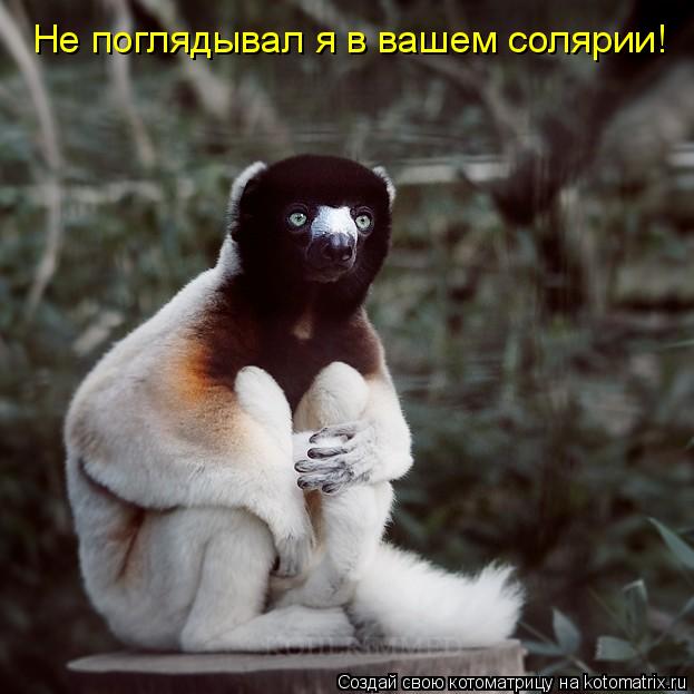 Котоматрица: Не поглядывал я в вашем солярии!