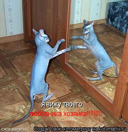 Котоматрица: я вижу твоего  любовника хозяйка !!!!!!!!!