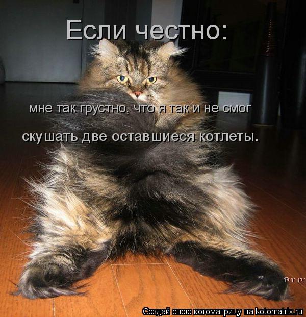 Котоматрица: Если честно: мне так грустно, что я так и не смог скушать две оставшиеся котлеты.