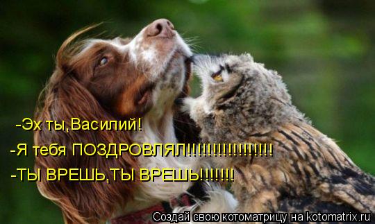 Котоматрица: -Эх ты,Василий! -Я тебя ПОЗДРОВЛЯЛ!!!!!!!!!!!!!!!!! -ТЫ ВРЕШЬ,ТЫ ВРЕШЬ!!!!!!!