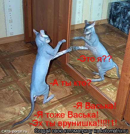 Котоматрица: -Это я?? -А ты кто? -Я Васька! -Я тоже Васька! -Эх ты врунишка!!!!!1!