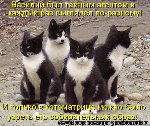 Котоматрица: каждый раз выглядел по-разному! Василий был тайным агентом и узреть его собирательный образ! И только в котоматрице можно было