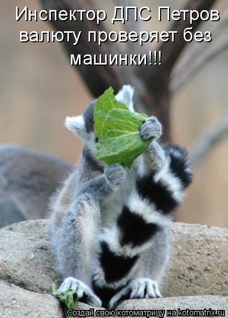 Котоматрица: Инспектор ДПС Петров  валюту проверяет без  машинки!!!