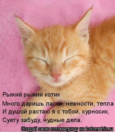 Котоматрица: Рыжий рыжий котик И душой растаю я с тобой, курносик, Суету забуду, нудные дела. Много даришь ласки, нежности, тепла