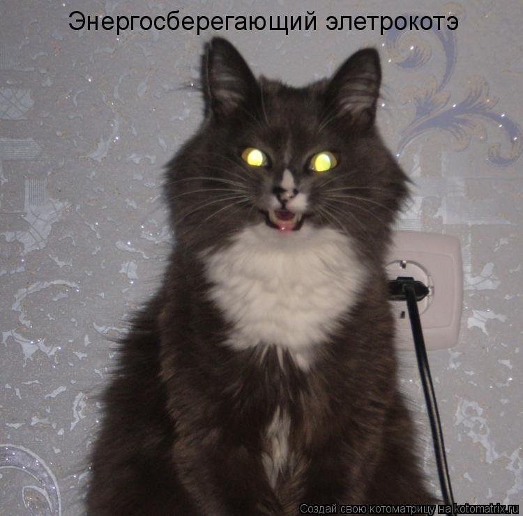 Котоматрица: Энергосберегающий элетрокотэ