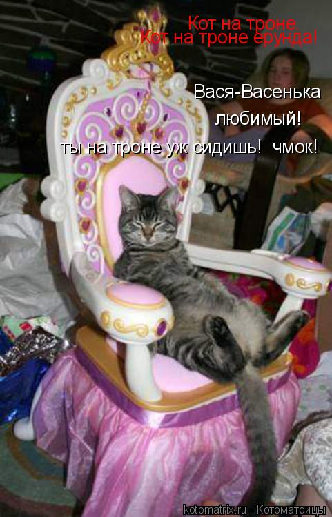 Котоматрица: Кот на троне. Вася-Васенька  любимый! Кот на троне ерунда! ты на троне уж сидишь!  чмок!