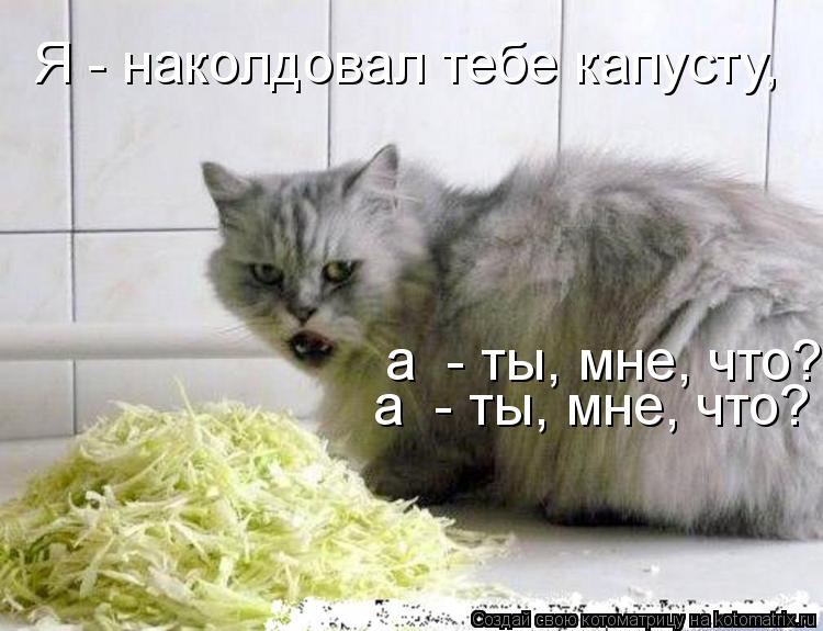 Котоматрица: Я - наколдовал тебе капусту, а  - ты, мне, что? а  - ты, мне, что?