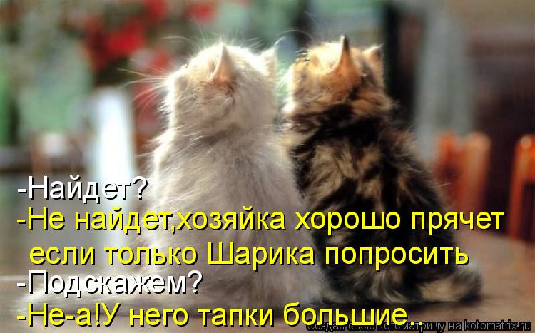 -Найдет? -Не найдет,хозяйка хорошо прячет если только Шарика попросить -Подскажем? -Не-а!У него тапки... Котоматрица: -Найдет? -Не найдет,хозяйка хорошо прячет если только Шарика попросить -Подскажем? -Не-а!У него тапки большие..