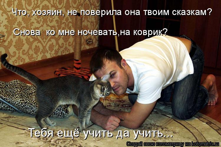 Что, хозяин, не поверила она твоим сказкам? Снова ко мне ночевать,на коврик? Тебя ещё учить да учить... Котоматрица: Что, хозяин, не поверила она твоим сказкам? Снова ко мне ночевать,на коврик? Тебя ещё учить да учить...