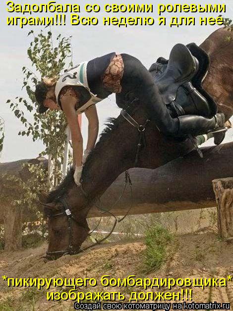 Котоматрица: Задолбала со своими ролевыми играми!!! Всю неделю я для нее изображать должен!!! *пикирующего бомбардировщика*