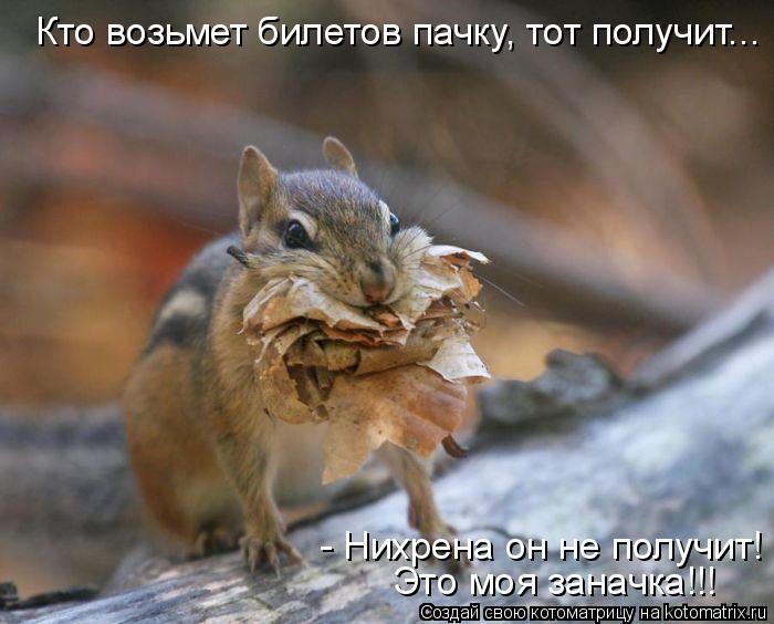 Котоматрица: Кто возьмет билетов пачку, тот получит... - Нихрена он не получит! Это моя заначка!!!
