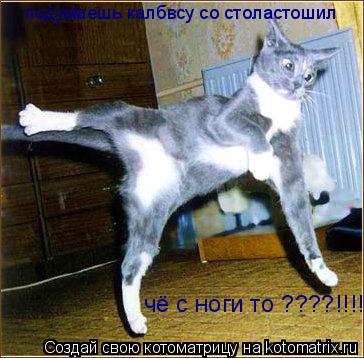 Котоматрица: подумаешь калбвсу со столастошил  чё с ноги то ????!!!!!!!!