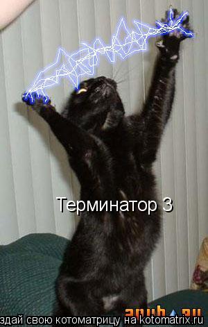 Котоматрица: Терминатор 3