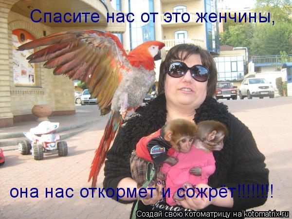Котоматрица: Спасите нас от это женчины, она нас откормет и сожрёт!!!!!!!!