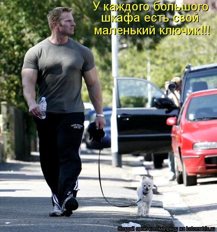 Котоматрица: У каждого большого маленький ключик!!! шкафа есть свой