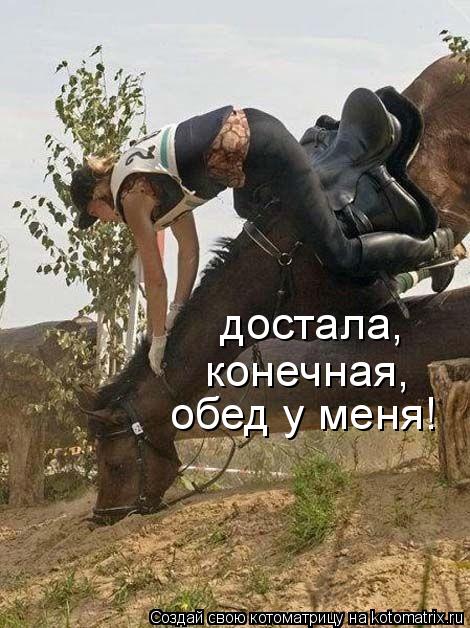 Котоматрица: достала, обед у меня! конечная,