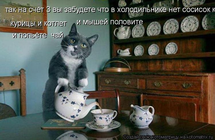 Котоматрица: так на счёт 3 вы забудете что в холодильнике нет сосисок курицы и котлет  курицы и котлет и попьёте  чай и мышей половите