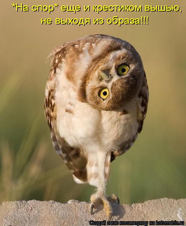 Котоматрица: *На спор* еще и крестиком вышью, не выходя из образа!!!