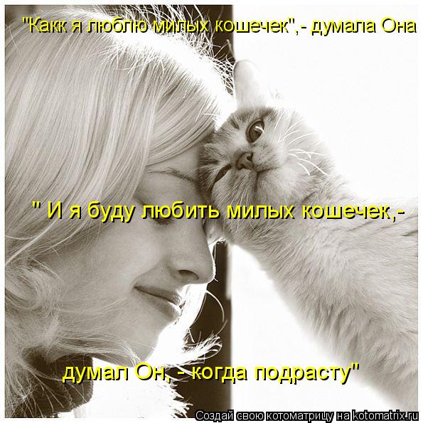 Котоматрица: "Какк я люблю милых кошечек",- думала Она " И я буду любить милых кошечек,- думал Он, - когда подрасту"