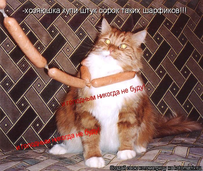 Котоматрица: -хозяюшка купи штук сорок таких шарфиков!!! и голодным никогда не буду! и голодным никогда не буду!