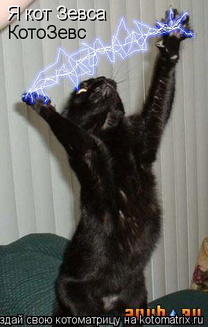 Котоматрица: Я кот Зевса КотоЗевс
