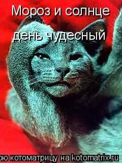 Котоматрица: Мороз и солнце   день чудесный