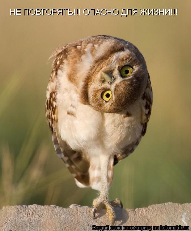 Котоматрица: НЕ ПОВТОРЯТЬ!!! ОПАСНО ДЛЯ ЖИЗНИ!!!