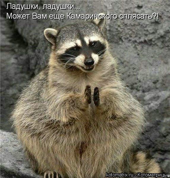 Котоматрица: Ладушки, ладушки... Может Вам еще Камаринского сплясать?!