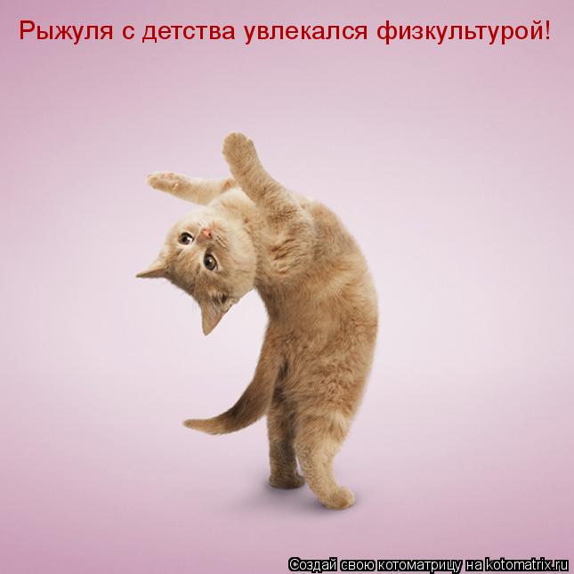Котоматрица: Рыжуля с детства увлекался физкультурой!