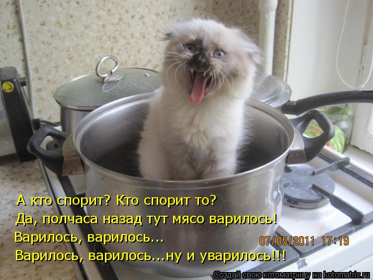 А кто спорит? Кто спорит то? Да, полчаса назад тут мясо варилось! Варилось, варилось...ну и уварилось... Котоматрица: А кто спорит? Кто спорит то? Да, полчаса назад тут мясо варилось! Варилось, варилось...ну и уварилось!!! Варилось, варилось...