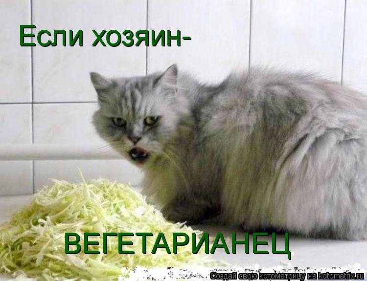 Если хозяин- ВЕГЕТАРИАНЕЦ... Котоматрица: Если хозяин- ВЕГЕТАРИАНЕЦ